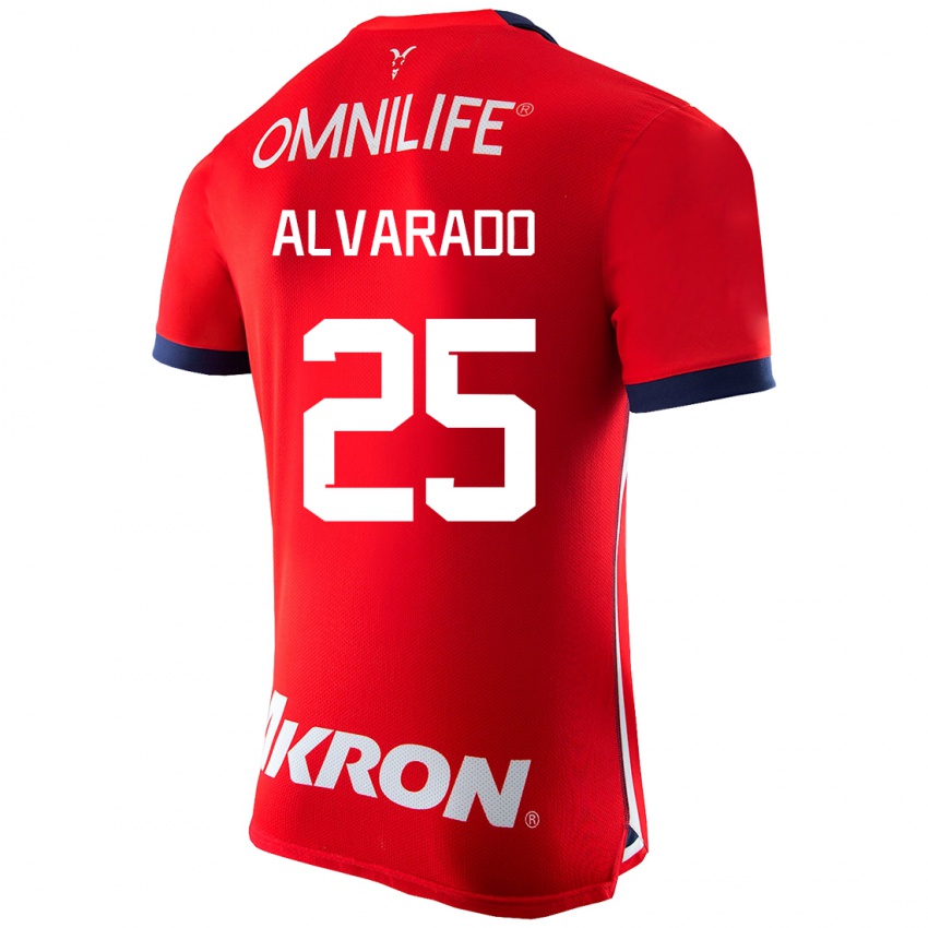 Børn Roberto Alvarado #25 Rød Hjemmebane Spillertrøjer 2023/24 Trøje T-Shirt