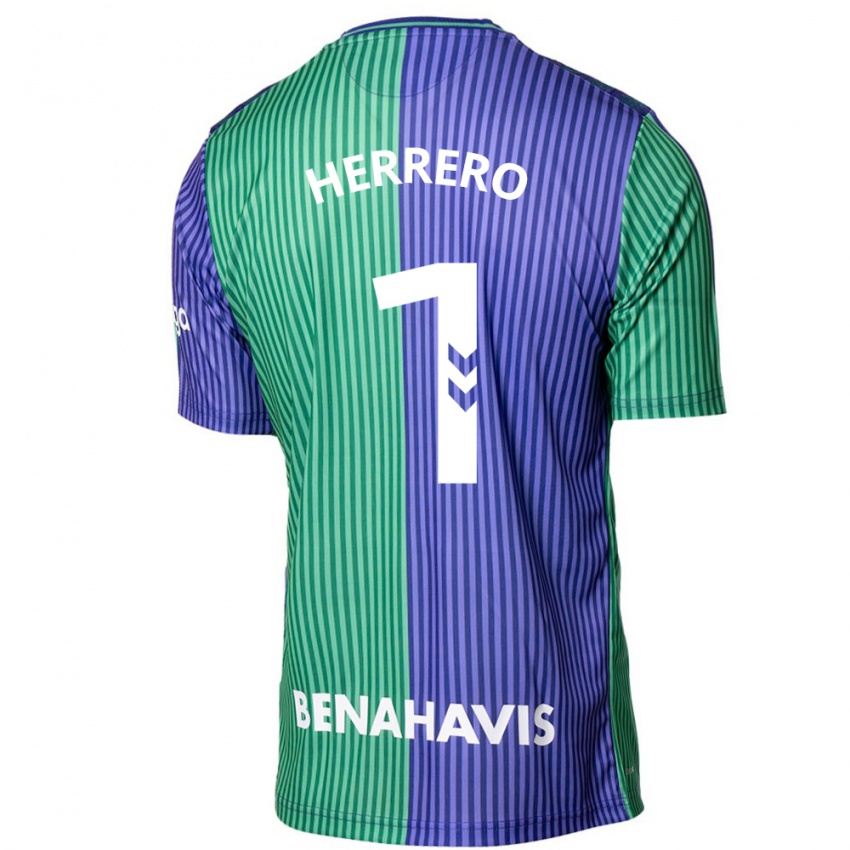 Mænd Alfonso Herrero #1 Grøn Blå Udebane Spillertrøjer 2023/24 Trøje T-Shirt