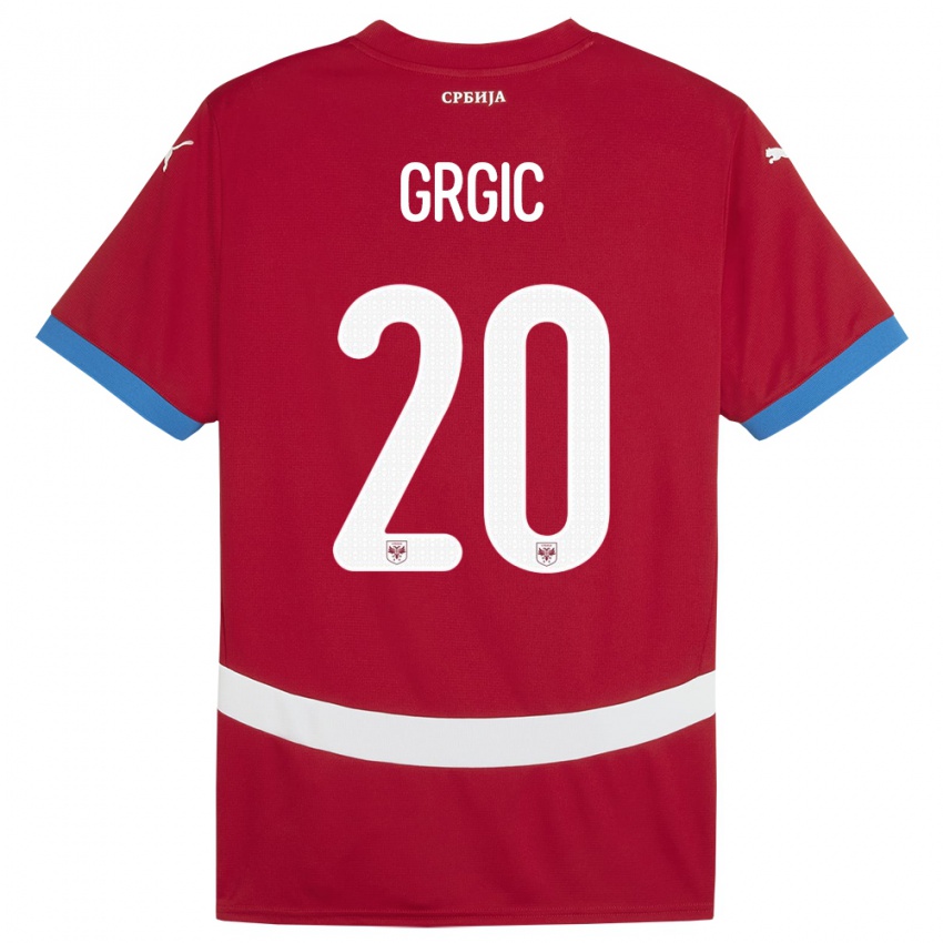 Børn Serbien Dario Grgic #20 Rød Hjemmebane Spillertrøjer 24-26 Trøje T-Shirt