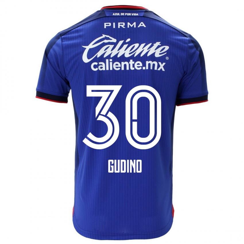 Børn Andres Gudino #30 Blå Hjemmebane Spillertrøjer 2023/24 Trøje T-Shirt