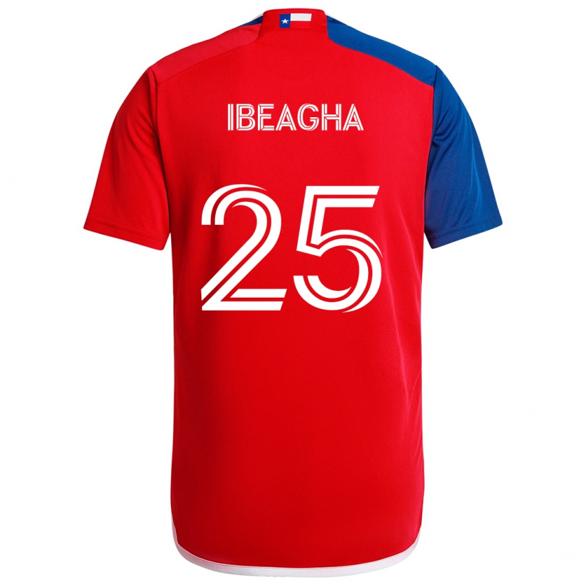 Børn Sebastien Ibeagha #25 Blå Rød Hjemmebane Spillertrøjer 2024/25 Trøje T-Shirt