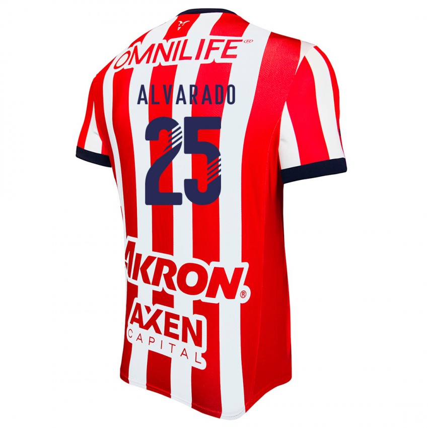 Børn Roberto Alvarado #25 Rød Hvid Blå Hjemmebane Spillertrøjer 2024/25 Trøje T-Shirt