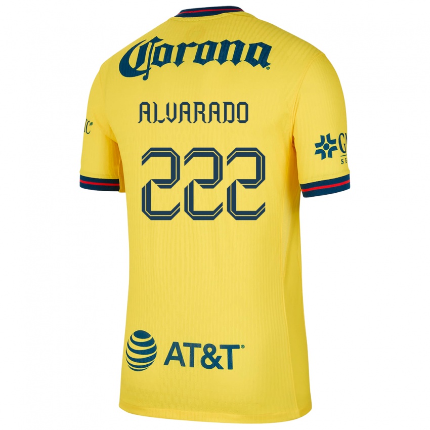 Børn Daniel Alvarado #222 Gul Blå Hjemmebane Spillertrøjer 2024/25 Trøje T-Shirt