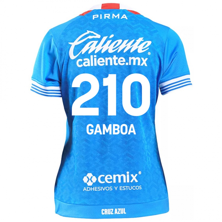 Børn Bryan Gamboa #210 Himmelblå Hjemmebane Spillertrøjer 2024/25 Trøje T-Shirt