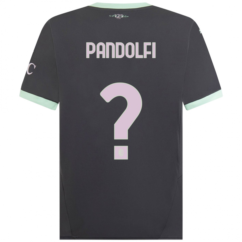 Børn Fabio Pandolfi #0 Grå Tredje Sæt Spillertrøjer 2024/25 Trøje T-Shirt