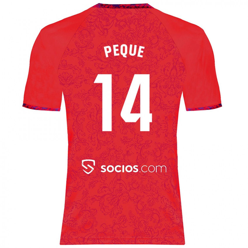 Børn Peque Fernández #14 Rød Udebane Spillertrøjer 2024/25 Trøje T-Shirt