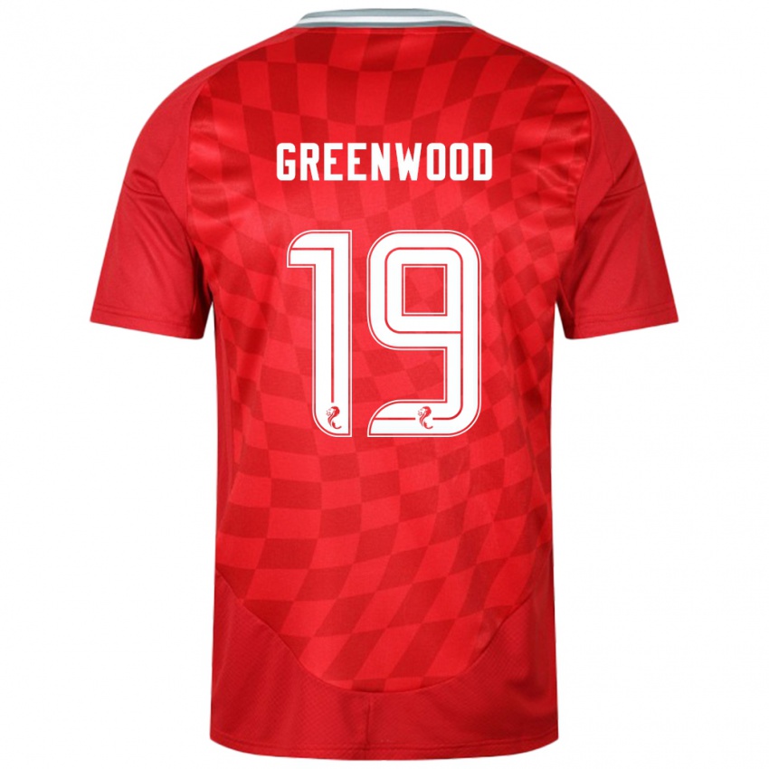 Mænd Brodie Greenwood #19 Rød Hjemmebane Spillertrøjer 2024/25 Trøje T-Shirt